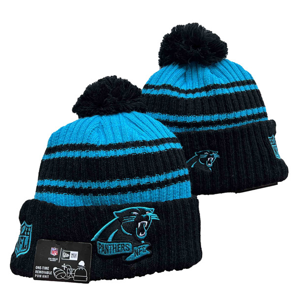 Carolina Panthers Knit Hats 078